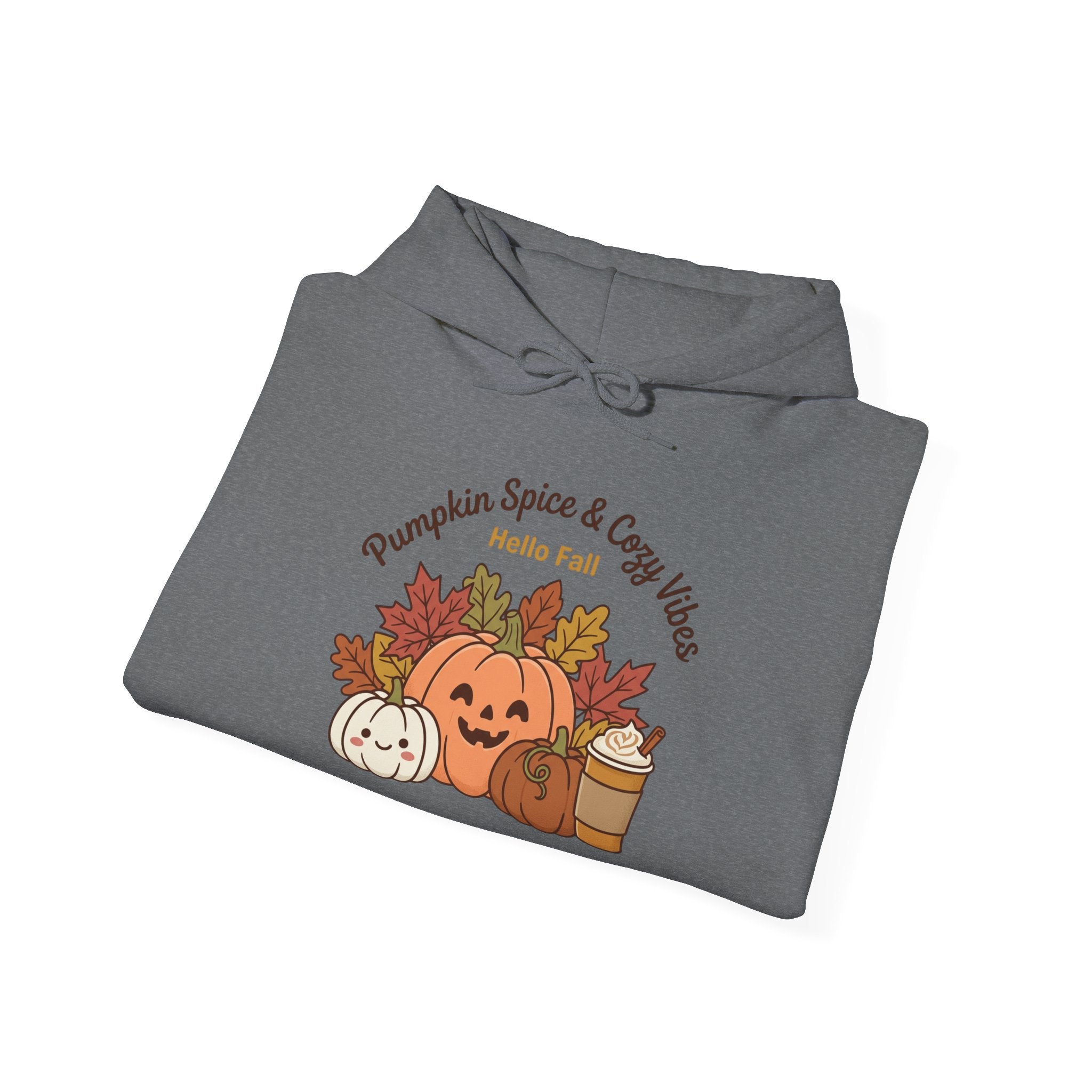 Pumpkin Spice & Cozy Vibes Hoodie | Fall Pumpkin Coffee Sweatshirt