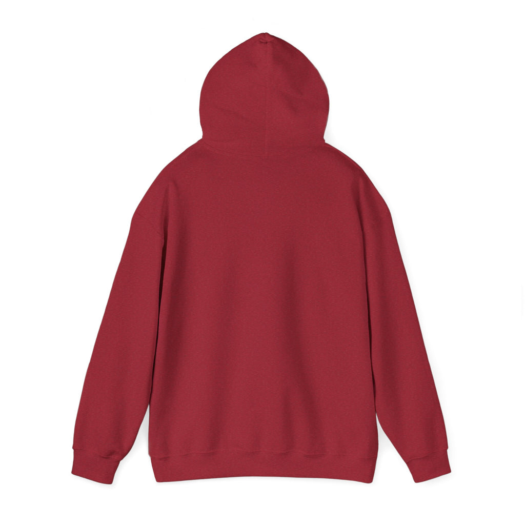 Pumpkin Spice & Cozy Vibes Hoodie | Fall Pumpkin Coffee Sweatshirt