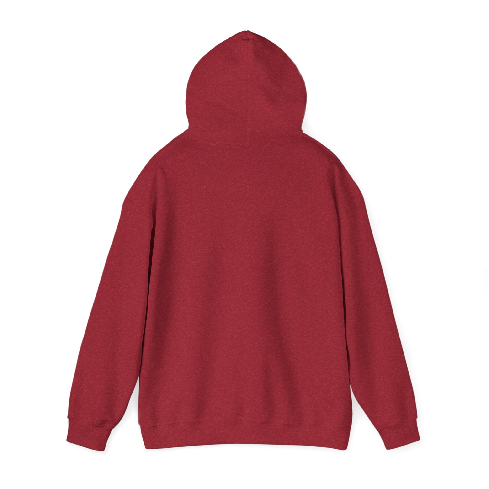 Pumpkin Spice & Cozy Vibes Hoodie | Fall Pumpkin Coffee Sweatshirt
