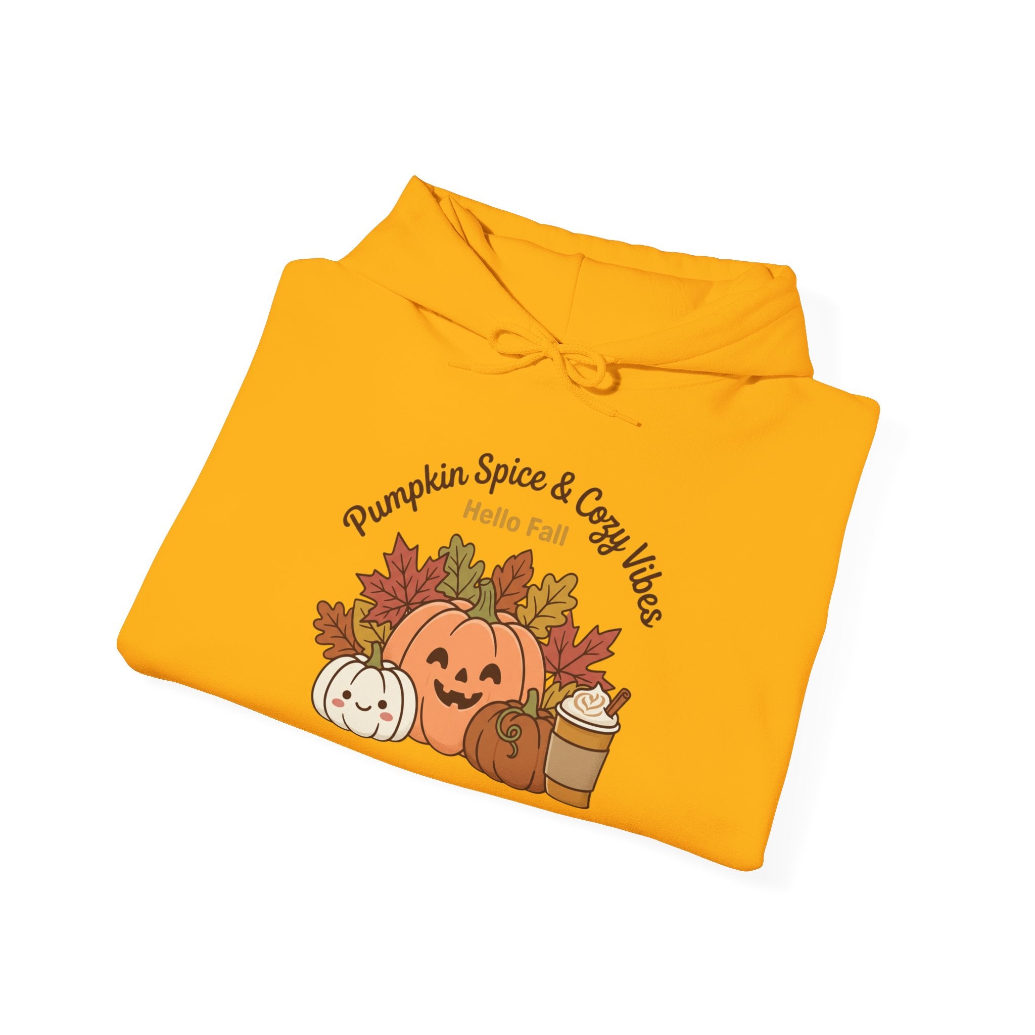 Pumpkin Spice & Cozy Vibes Hoodie | Fall Pumpkin Coffee Sweatshirt