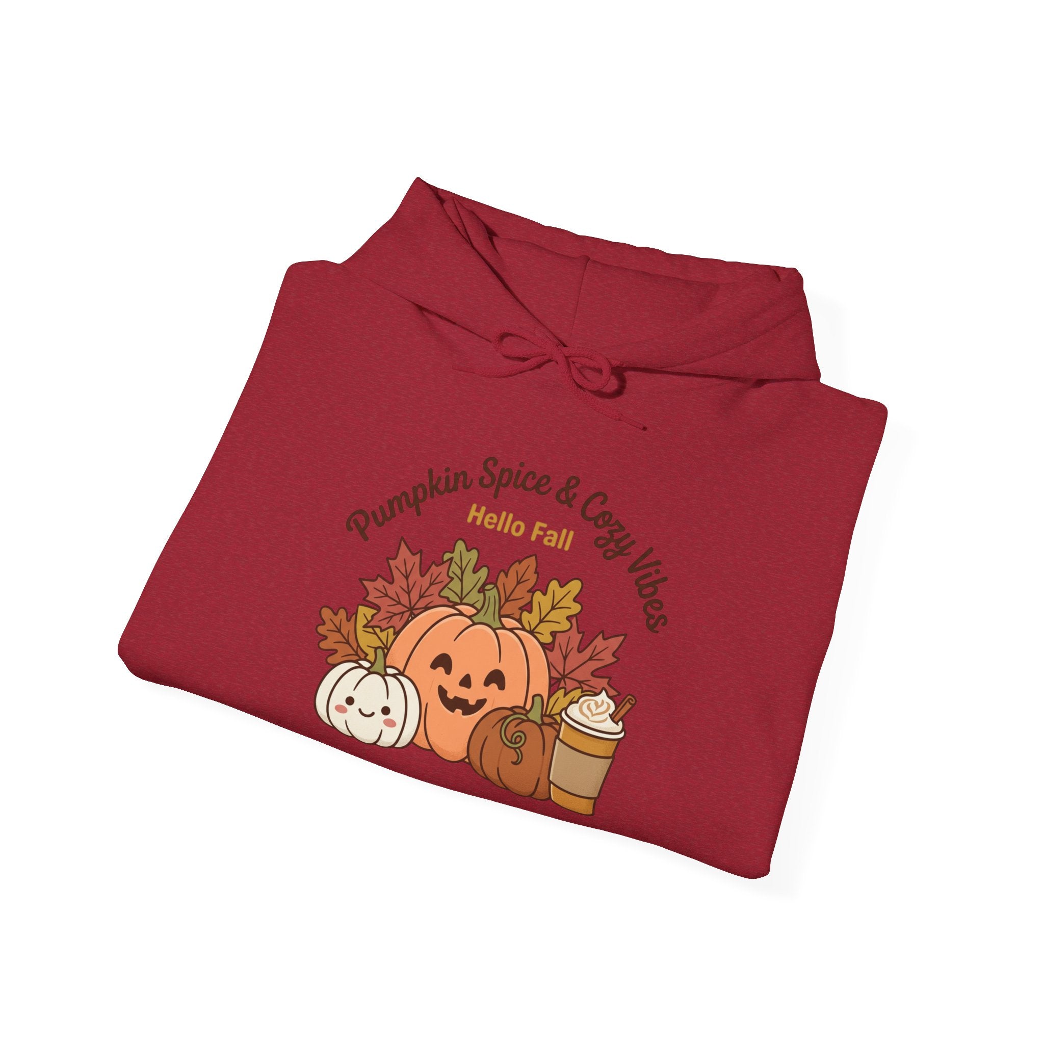 Pumpkin Spice & Cozy Vibes Hoodie | Fall Pumpkin Coffee Sweatshirt