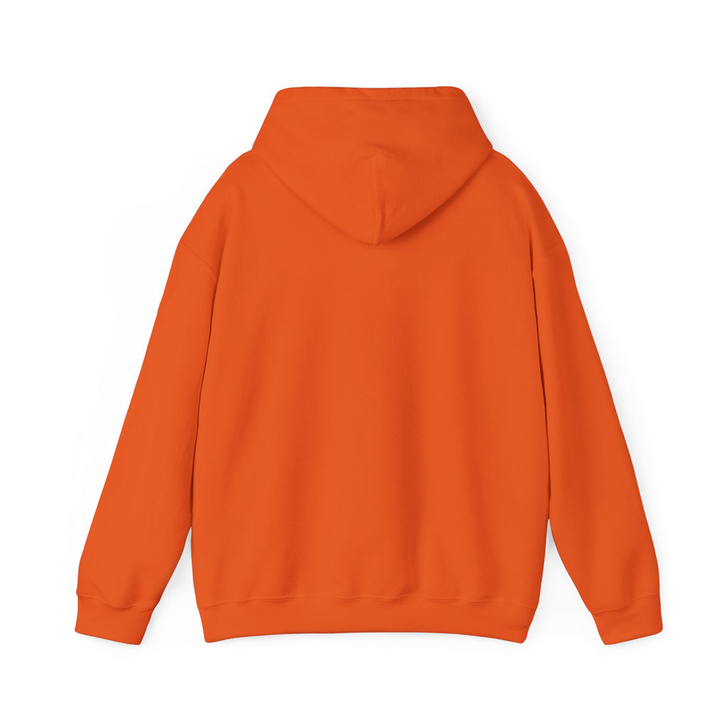 Pumpkin Spice & Cozy Vibes Hoodie | Fall Pumpkin Coffee Sweatshirt