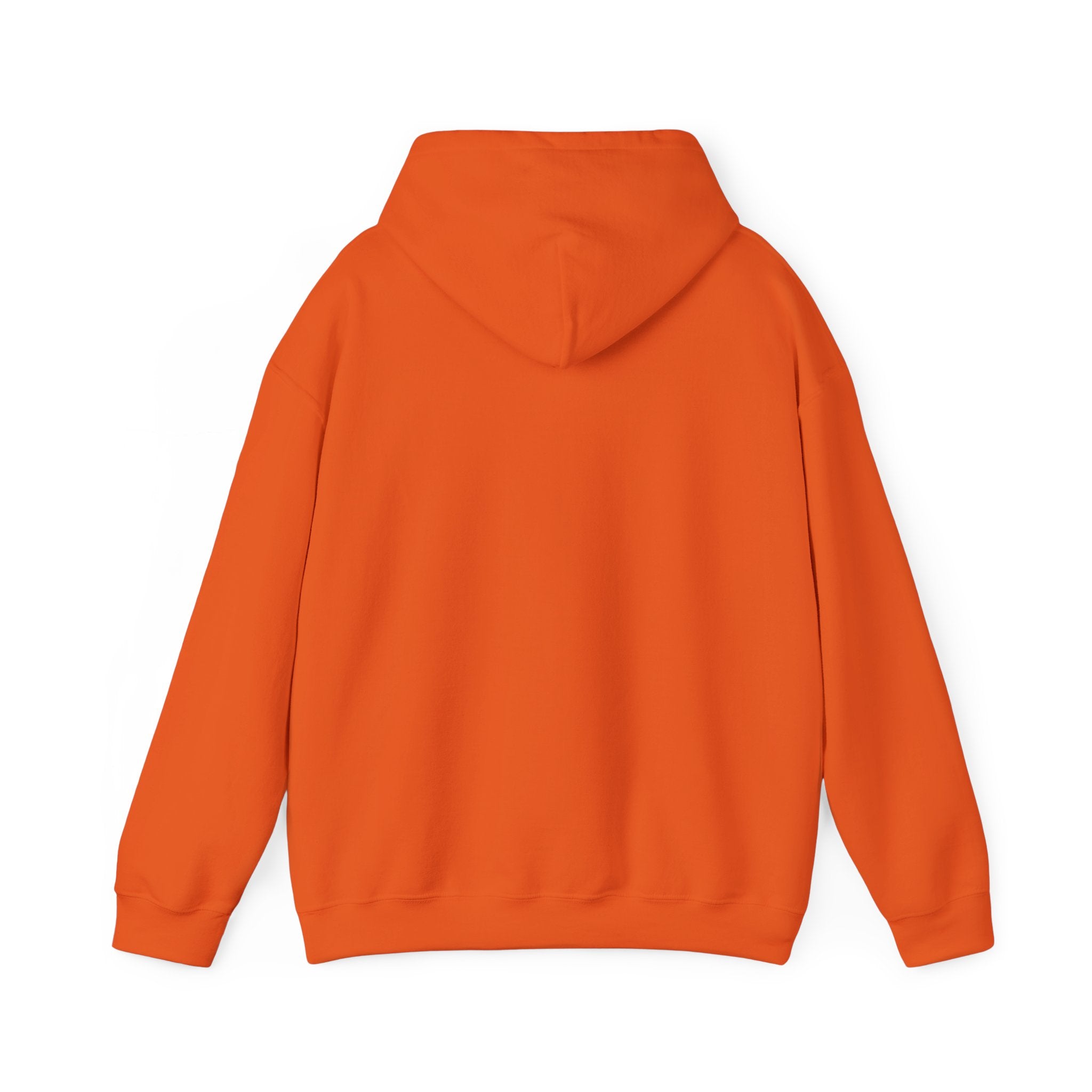 Pumpkin Spice & Cozy Vibes Hoodie | Fall Pumpkin Coffee Sweatshirt