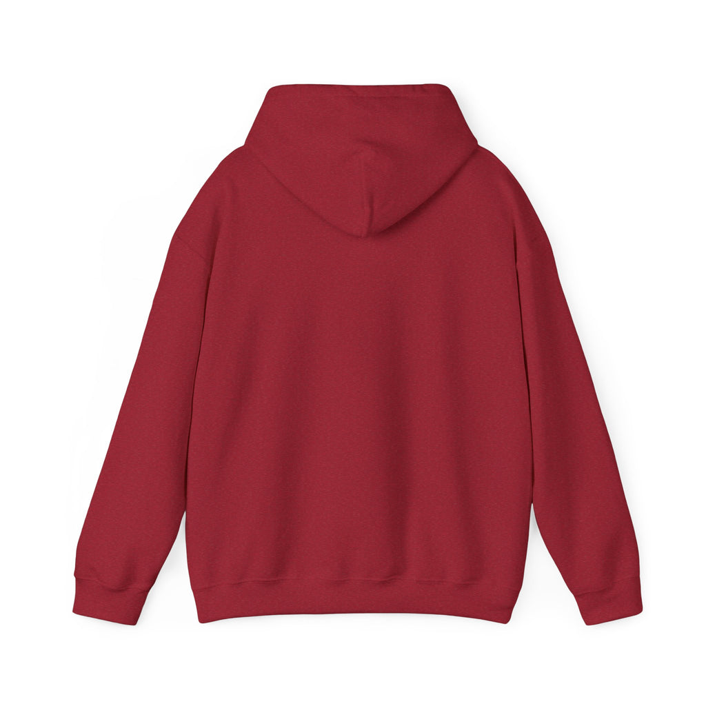 Pumpkin Spice & Cozy Vibes Hoodie | Fall Pumpkin Coffee Sweatshirt