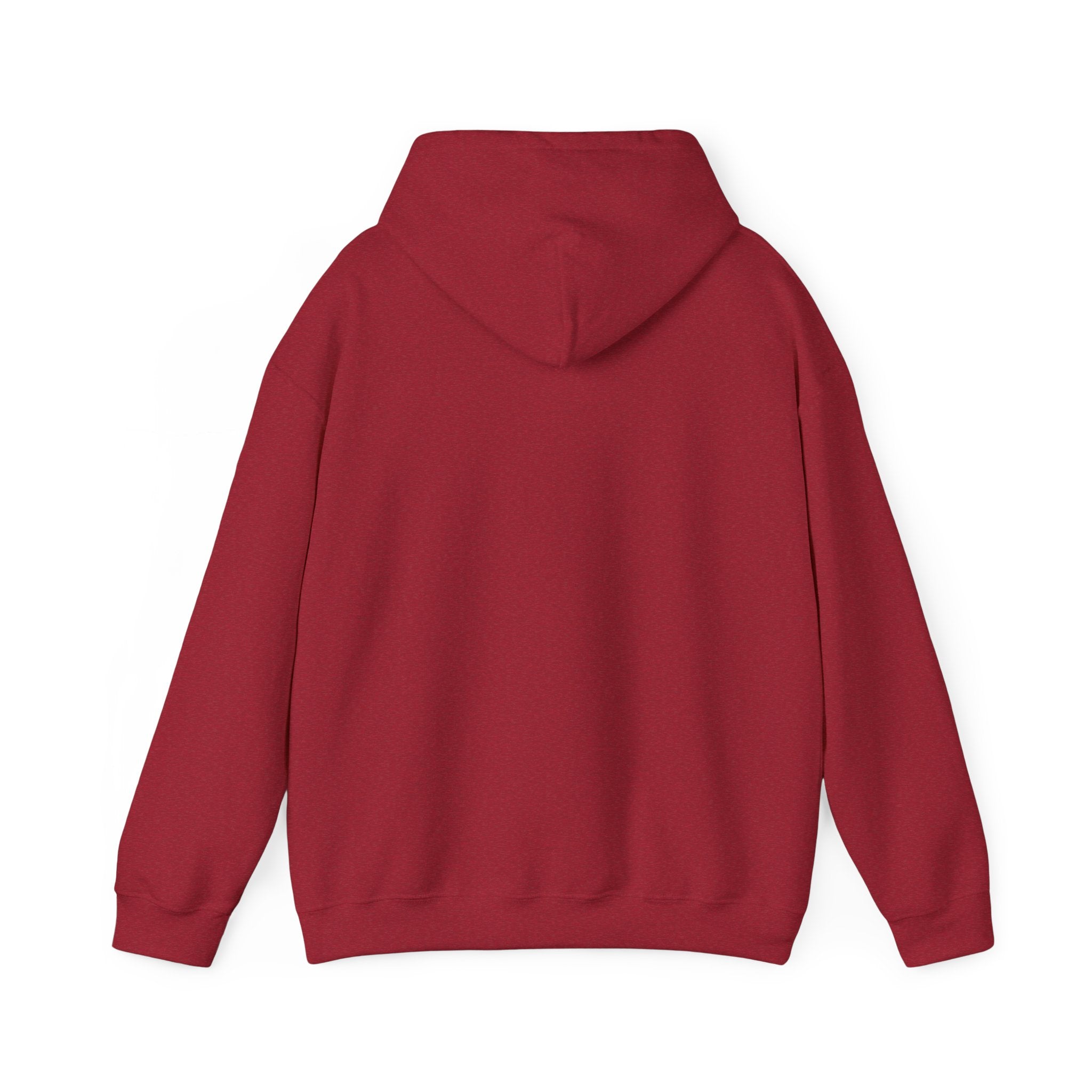 Pumpkin Spice & Cozy Vibes Hoodie | Fall Pumpkin Coffee Sweatshirt