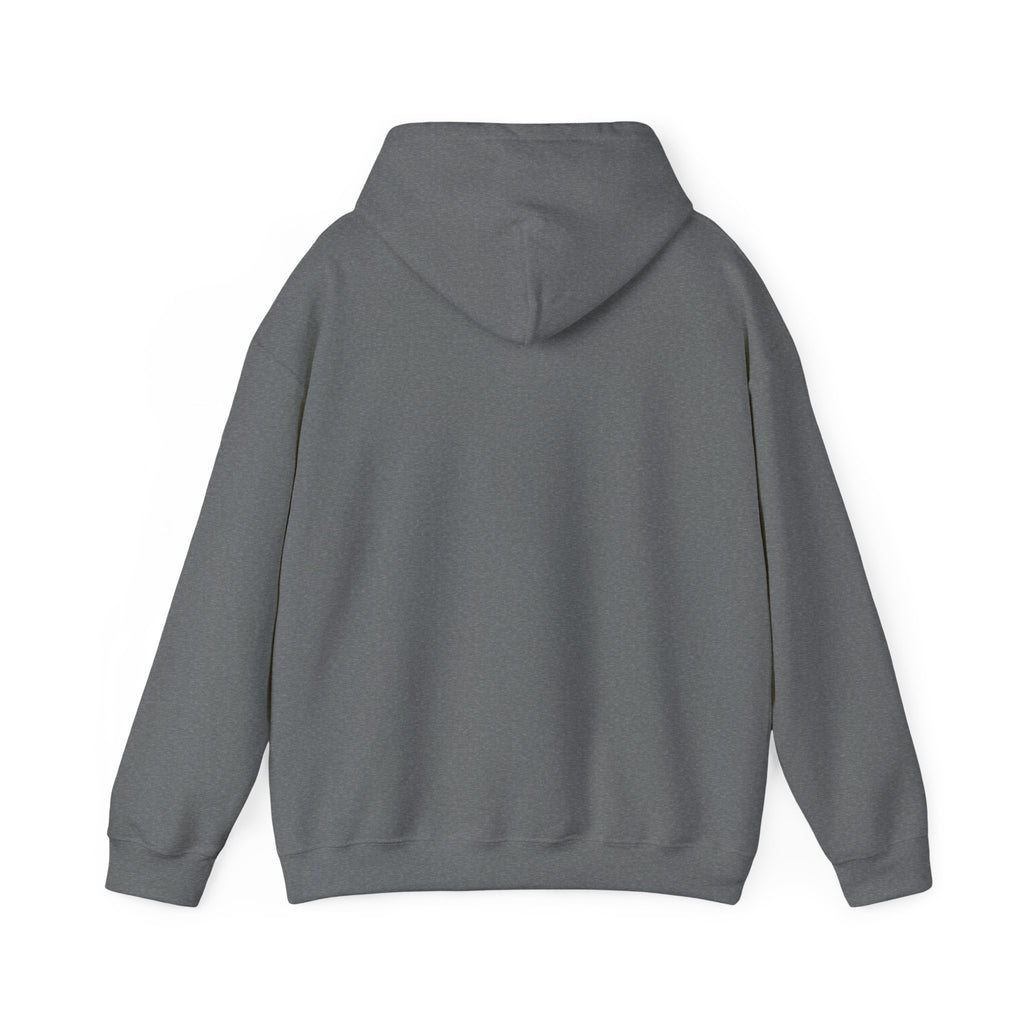 Pumpkin Spice & Cozy Vibes Hoodie | Fall Pumpkin Coffee Sweatshirt