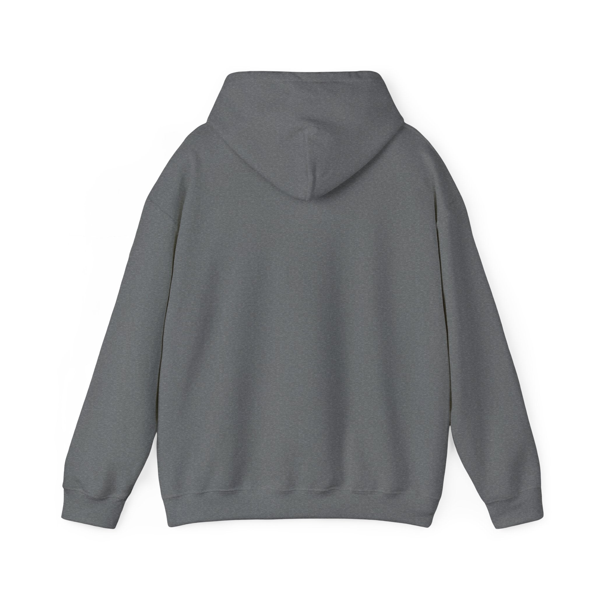 Pumpkin Spice & Cozy Vibes Hoodie | Fall Pumpkin Coffee Sweatshirt