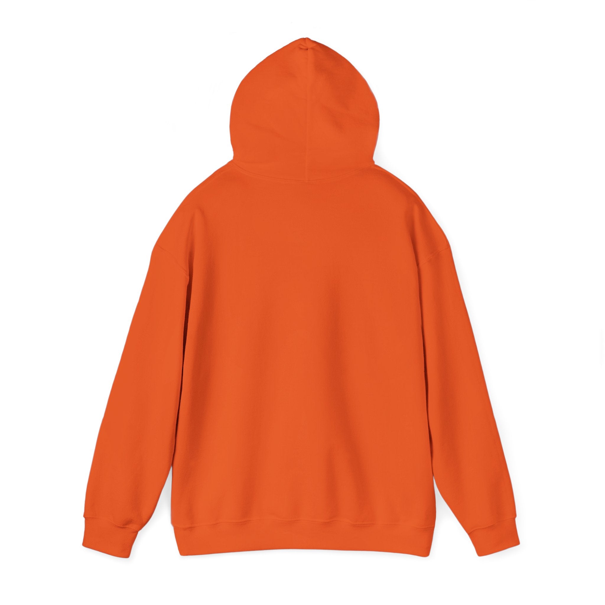 Pumpkin Spice & Cozy Vibes Hoodie | Fall Pumpkin Coffee Sweatshirt