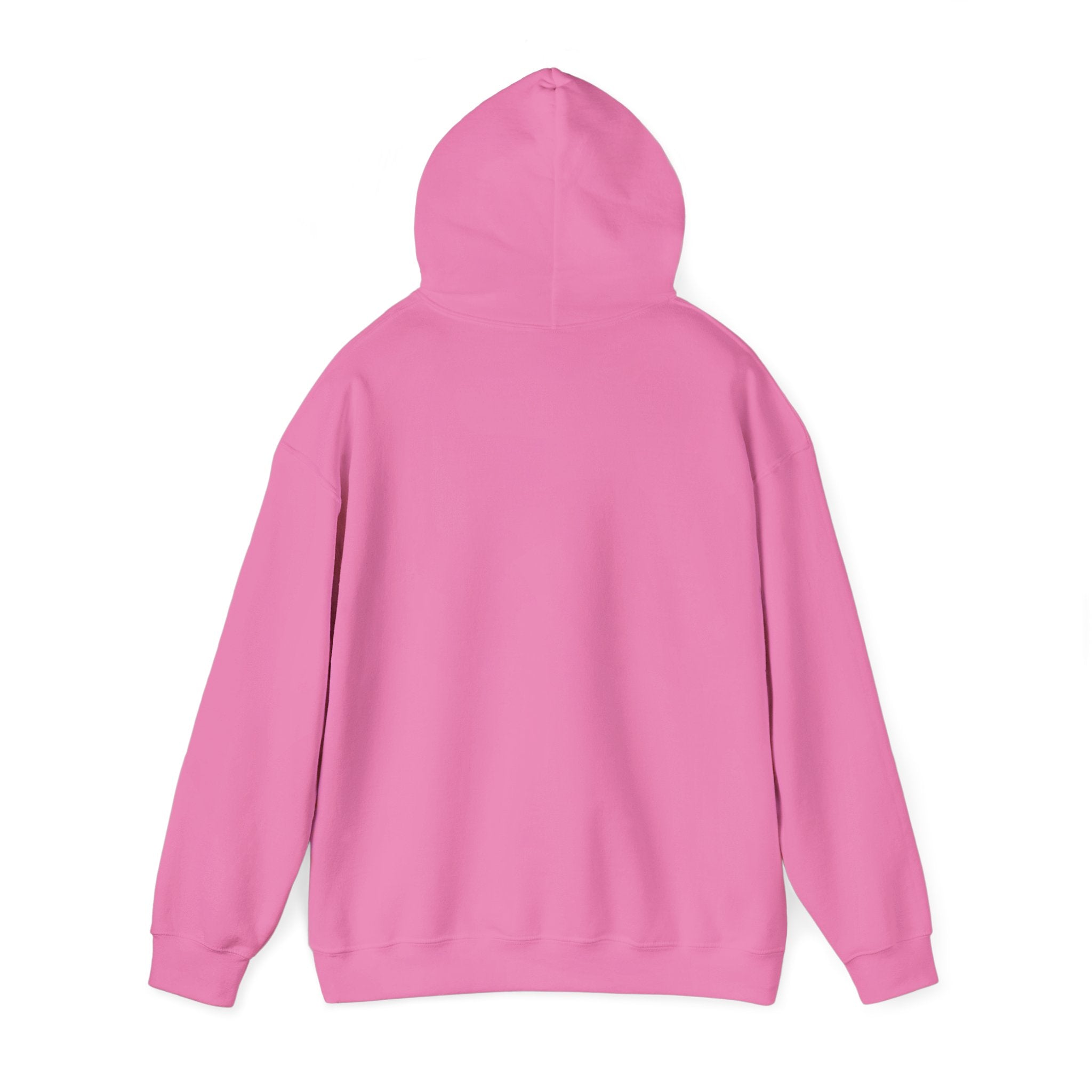 Pumpkin Spice & Cozy Vibes Hoodie | Fall Pumpkin Coffee Sweatshirt