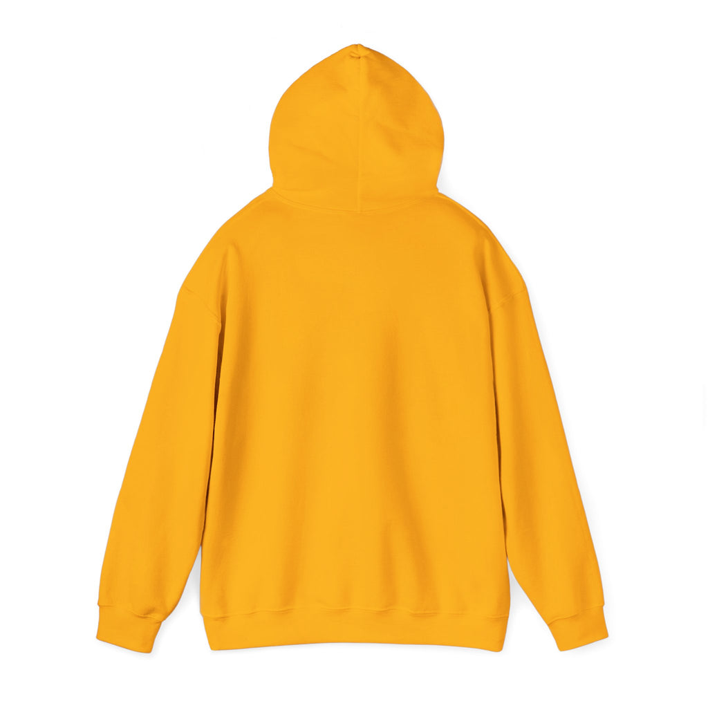 Pumpkin Spice & Cozy Vibes Hoodie | Fall Pumpkin Coffee Sweatshirt
