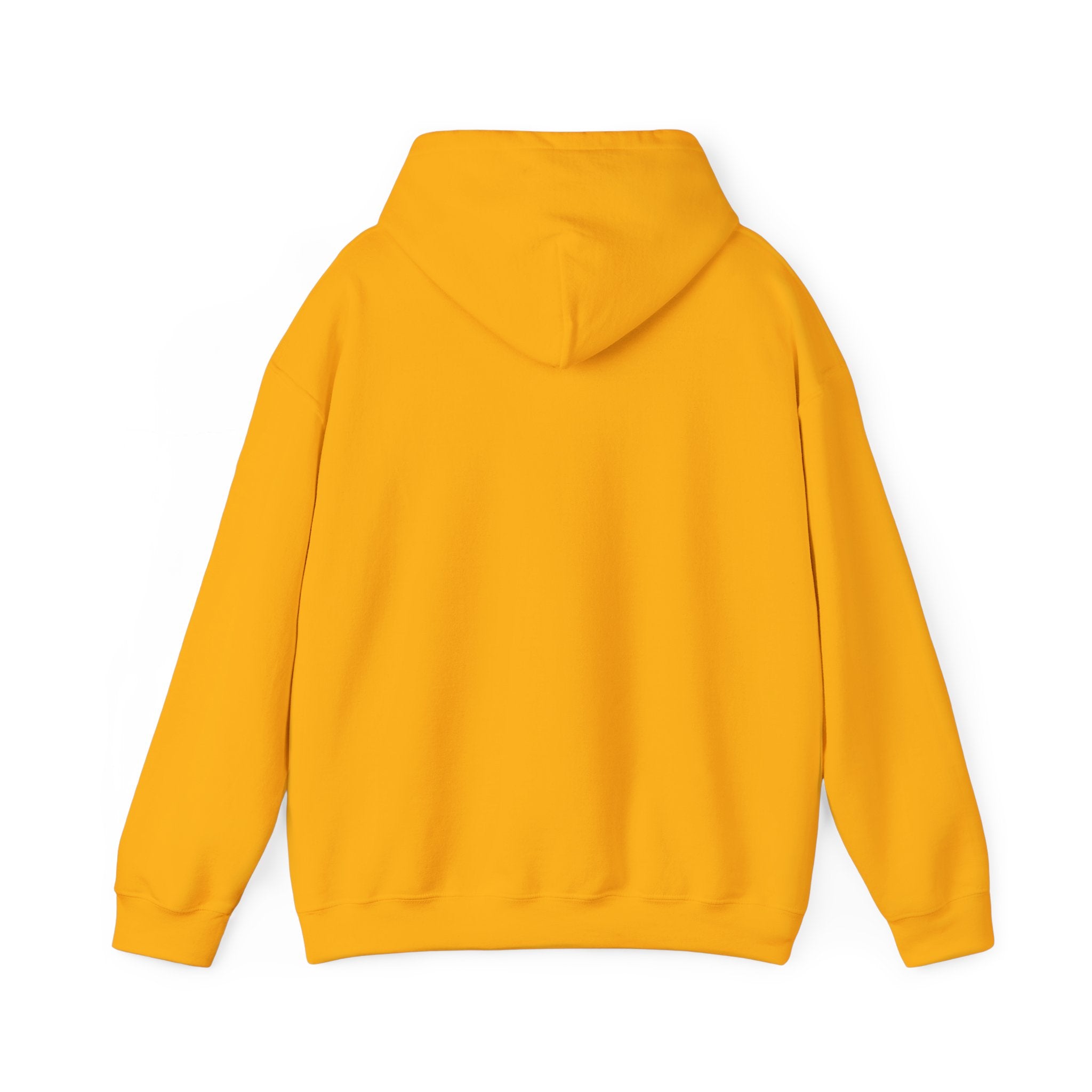 Pumpkin Spice & Cozy Vibes Hoodie | Fall Pumpkin Coffee Sweatshirt