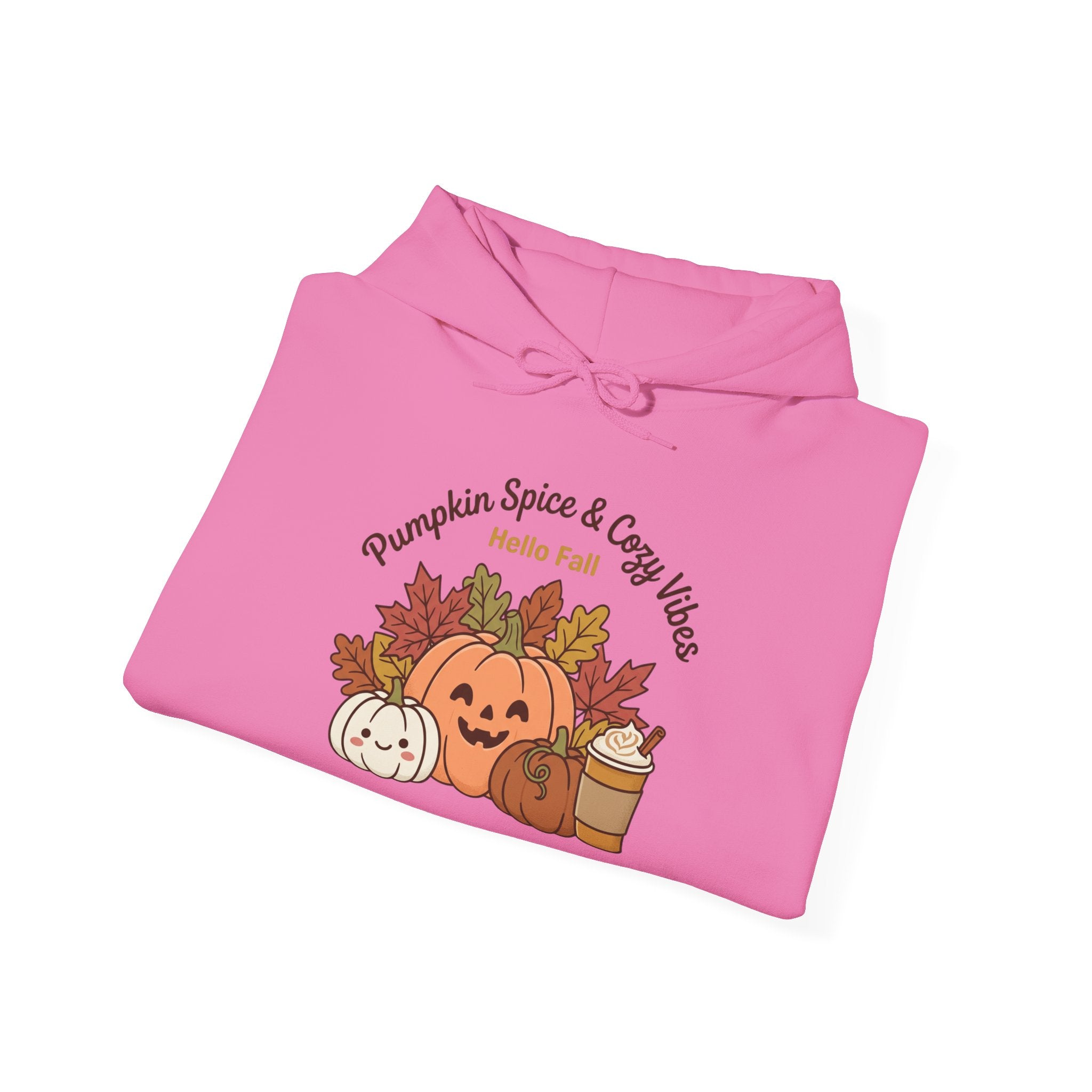 Pumpkin Spice & Cozy Vibes Hoodie | Fall Pumpkin Coffee Sweatshirt