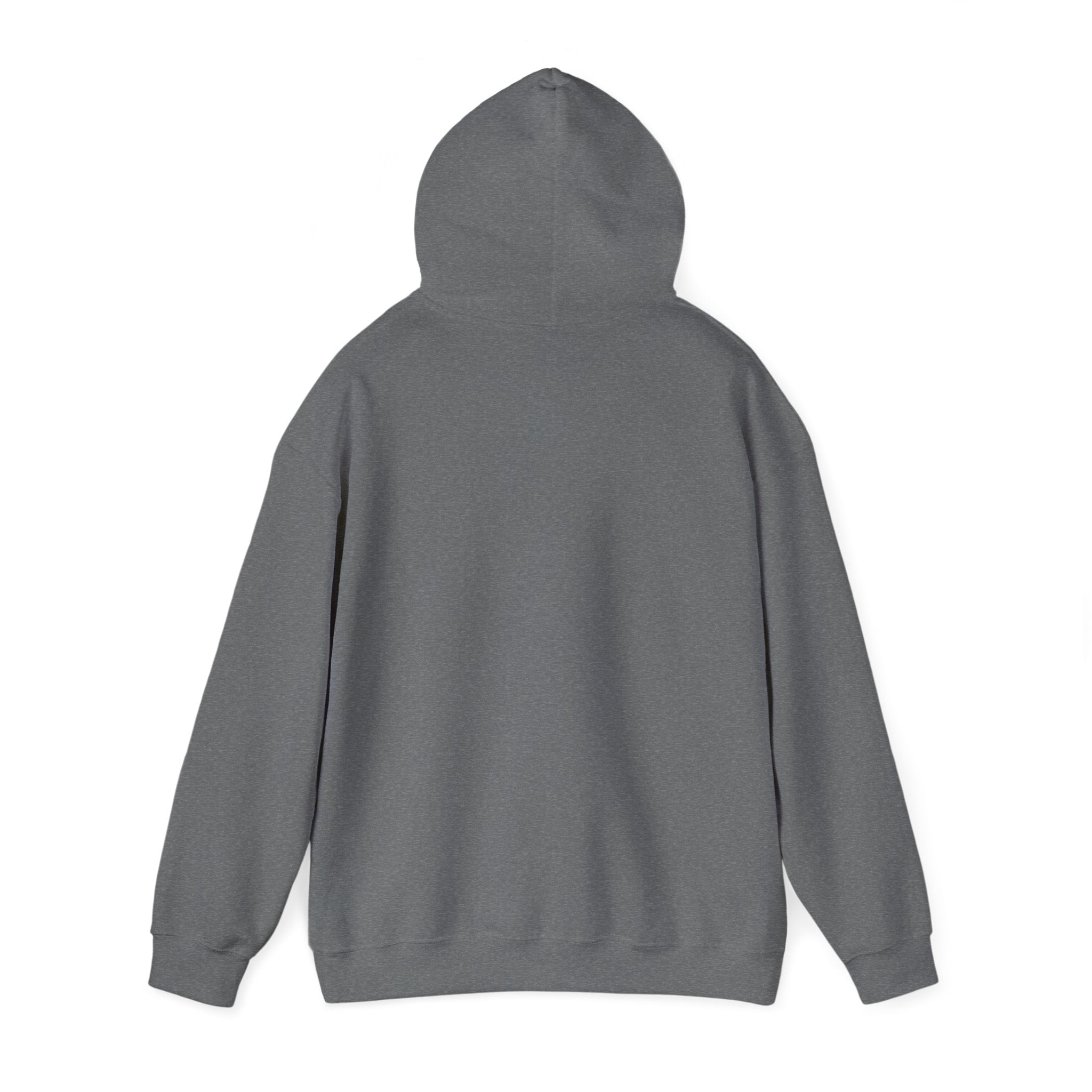 Pumpkin Spice & Cozy Vibes Hoodie | Fall Pumpkin Coffee Sweatshirt